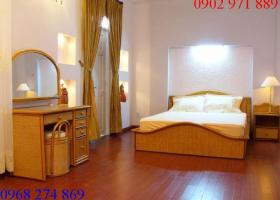 Cho thuê villa - Biệt thự tại đường Số 5, quận Bình An với giá 40 triệu/tháng 1016763