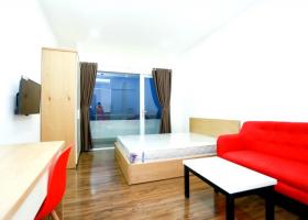 Cho thuê căn hộ dịch vụ cao cấp mới 100% Luxury Apartment Hoàng Sa, phường Đa Kao, Quận 1 1029720