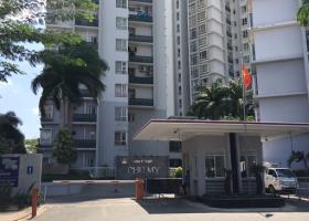 Cho thuê gấp căn hộ cao cấp chung cư Phú Mỹ - Vạn Phát Hưng, 2 phòng ngủ, giá 12.5tr /th 1043825
