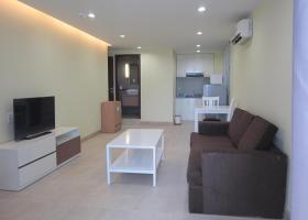 Cho thuê căn hộ chung cư 107 Trương Định, quận 3. 1 phòng ngủ, nội thất Châu Âu, giá 15.5 tr/th 1044111