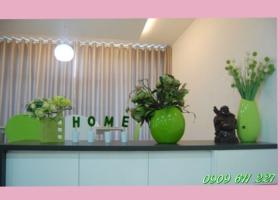 Cho thuê hoặc căn hộ Phú Hoàng Anh, 3PN, nội thất đầy đủ View 1017059