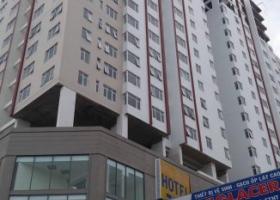 Cho thuê căn hộ chung cư tại dự án Bảy Hiền Tower, Tân Bình, DT 81m2, giá 11 triệu/tháng 1064631