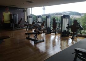 Cho thuê căn hộ chung cư tại dự án Sài Gòn Airport Plaza, Tân Bình, Tp. HCM, dt 57m2, giá 14 tr/th 1065200