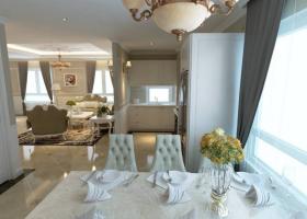 Cho thuê gấp căn hộ Phú Hoàng Anh Penthouse, sân vườn giá rẻ nội thất mới 100%  1075515