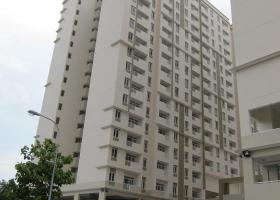 Cho thuê chung cư Bình Khánh 2-3PN mới 100%, giá rẻ 7,5tr/th 1113260