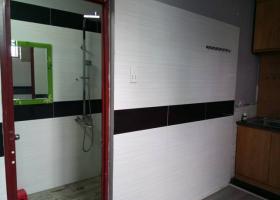 Cho thuê căn hộ chung cư 601 CMT8, Quận 3, 2 PN 1126529