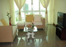 Cho thuê gấp giá rẻ căn hộ Hoàng Anh Gia Lai 1 Quận 7 1134297