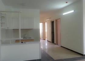 Cho thuê căn hộ chung cư tại dự án Tân Phước Plaza, Quận 11, Tp. HCM, DT = 109m2, giá 15 tr/th 1106718