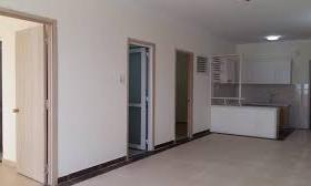 Cho thuê căn hộ chung cư tại dự án Tân Phước Plaza, Quận 11, Tp. HCM, DT = 109m2, giá 15 tr/th 1106718
