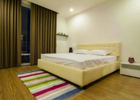 Cho thuê căn hộ chung cư 107 Trương Định, quận 3. 2 phòng ngủ nội thất Châu Âu, giá 22 triệu/tháng 1149909