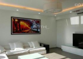 Cho thuê căn hộ cấp The Panorama 3PN lầu cao Phú Mỹ Hưng, Quận 7 1162660