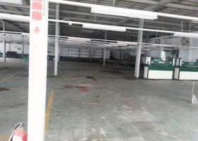 Cho thuê kho xưởng trống, 37/5 Bế Văn Cấm, P. Tân Kiểng 1172403