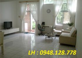 Chuyên cho thuê căn hộ Hưng Vượng- Phú Mỹ Hưng quận 7 1178050