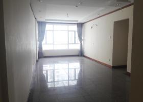 Cho thuê nhiều căn hộ thông tầng Phú Hoàng Anh 4 phòng ngủ có sân vườn 1179773