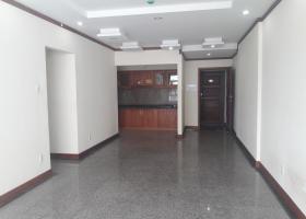 Cho thuê nhiều căn hộ thông tầng Phú Hoàng Anh 4 phòng ngủ có sân vườn 1179773