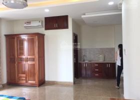 Căn hộ chung cư Carillon 2, Quận Tân Phú cho thuê 1204547