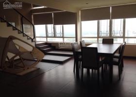 Cho thuê căn hộ lofthouse Phú Hoàng Anh 5 phòng ngủ đầy đủ tiện nghi giá 20 triệu/tháng 1236790