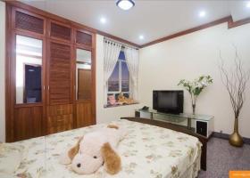 Cho thuê căn hộ 2 PN 90m2 Hoàng Anh 1 gần Lotte Q7, nhà đẹp, nội thất đầy đủ, giá 10tr, 0909718696 1265928