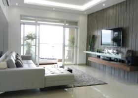 Căn hộ cao cấp Green Valley , cho thuê  đầy đủ nội thất, 88m2, giá rẻ - Phú Mỹ Hưng, Quận 7. 1275162