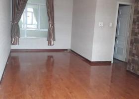 Cho thuê giá tốt căn hộ cao cấp Ngọc Phương Nam, Q8 1281379