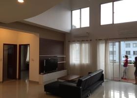Cần cho thuê căn hộ penthouse Mỹ Khang, Phú My Hưng giá rẻ, 0909052673 1326473