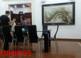 Cho thuê villa khu 146, phường Thảo Điền, Quận 2 1301235