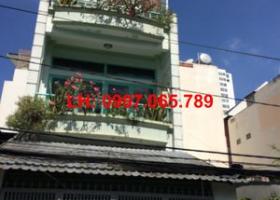 Cần cho thuê villa đường phường Thảo Điền, DT 8 x 25m 1315263