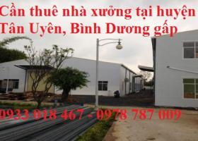 Cần thuê nhà xưởng tại huyện Tân Uyên, Bình Dương 0933 018 467 1325842