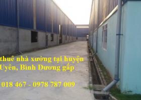 Cần thuê nhà xưởng tại Phường Phú Tân, Thủ Dầu Một, Bình Dương 0933 018 467 1325944