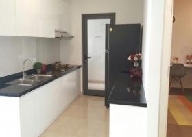 Cần cho thuê căn hộ chung cư cao cấp hiện đại Luxcity, đường Huỳnh Tấn Phát 1327888