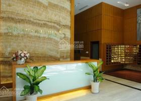 Cho thuê căn hộ Dragon Hill, diện tích 114m2, nhà mới, tầng cao, view đẹp, giá 13 triệu/tháng. 1347226