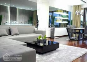 Cho thuê căn hộ Phú Hoàng Anh, diện tích 129m2, nội thất đầy đủ, lầu cao, giá 13 triệu/tháng. 1354109