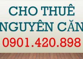 Cho thuê nhà Nguyên căn đường Nguyễn Tri Phương, Phường 5, Quận 10 1187921