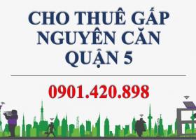 Cho thuê nhà mặt tiền đường Nguyễn Tri Phương, Phường 9, Quận 5 1188564