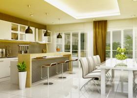 Cho thuê căn hộ cao cấp + gác lửng hiện đại, rộng, giá thấp tại Nguyễn Duy Trinh, Q2 1380529