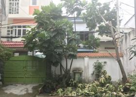 Cho thuê nhà riêng tại phường 14, Gò Vấp, Hồ Chí Minh, diện tích 200m2, giá 14 triệu/tháng 1390471
