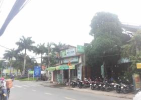 Cho thuê nhà mặt tiền ngay ngã 3, khu kinh doanh sầm uất Nguyễn Duy Trinh, DT 8x30m 1387715