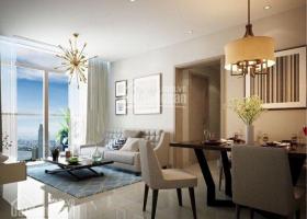 Cho thuê căn hộ penthouse Sunrise City, diện tích 300m2, nội thất Châu Âu, cho thuê giá 73 tr/th 1393698