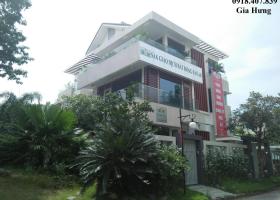 Cho thuê gấp biệt thự Nam Thông, Phú Mỹ Hưng, Quận 7, TP HCM. DTSD: 300m2 1394534