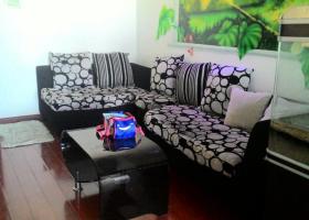 Căn hộ mới cho thuê căn hộ chung cư Bông Sao, đường Bùi Minh Trực, quận 8 1463481