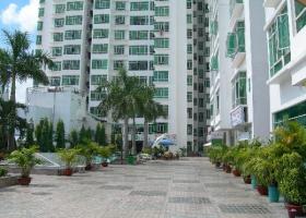 Cho thuê căn hộ chung cư tại dự án Hoàng Anh Gia Lai 2, Quận 7, TP. HCM, diện tích 90m2, 11 tr/th 1484708