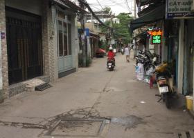 Cho thuê nhà mặt tiền hẻm 95 Lê Văn Lương, quận 7 1533480