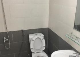 CHUNG CƯ MINI MỚI XÂY AN NINH CỰC RỘNG TẠI ĐƯỜNG 17, LINH CHIỂU,THỦ ĐỨC 1599048