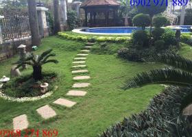 Cho thuê Villa – Biệt thự cao cấp giá rẻ ở Đường Nguyễn Văn Hưởng,  P. Thảo Điền , Q2  giá 4200$/ tháng  1610425
