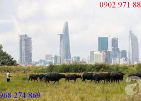 Cho thuê Đất giá rẻ ở Đường Trần Não , P.Bình An , Q2  giá 300 triệu/ tháng  1612082