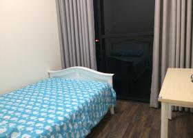 Cho thuê căn hộ 1PN, full nội thất, 70m2 tại The Ascent Quận 2 1644743