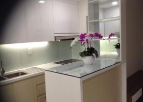 Cần cho thuê gấp căn hộ Green Valley ,Phú Mỹ Hưng giá rẻ LH:0909052673 1679176