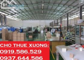 cho thuê mặt bằng kho xưởng diện tích 4000m2 ở gần chợ Tân Bình Quận Tân Bình 1702019