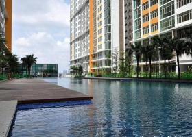 Cho thuê căn hộ The Vista, Q.2, 2PN, 3PN, view hồ bơi, giá 20 triệu 1710246
