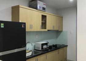 Cho thuê căn hộ chung cư 2 phòng ngủ full nội thất cao cấp Him Lam Riverside 1729960